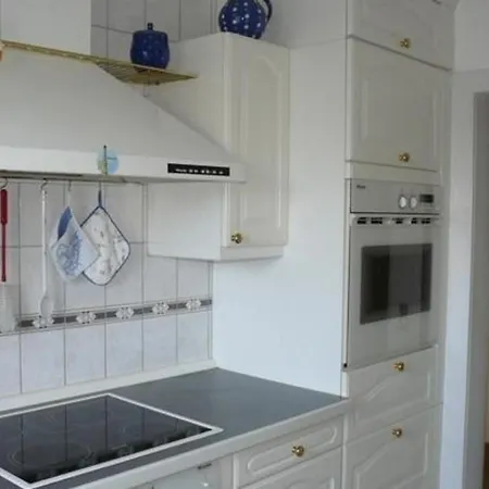 Apartment Grosse In Mit Terrasse, Grill Und Garten Zwickau
